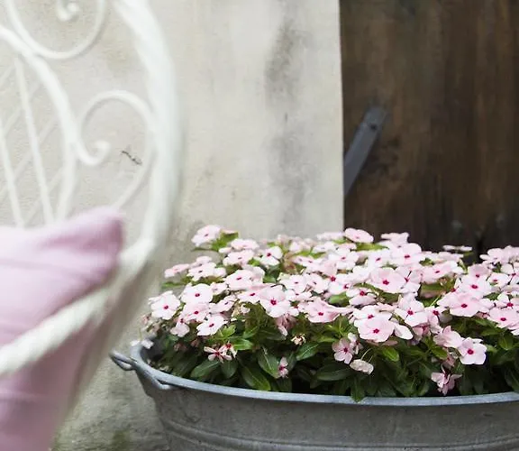 Alojamento de Acomodação e Pequeno-almoço Contrada Lunga 3*