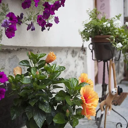 Oda ve Kahvaltı Contrada Lunga Abbadia Lariana